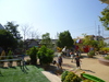 植栽の豊かな園庭(日本).jpg